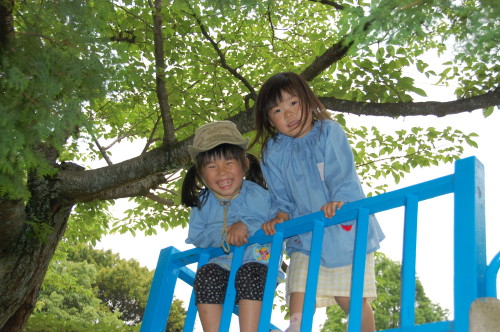 img0017.jpg
