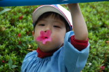 img0014.jpg
