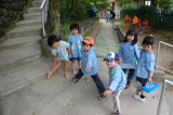 img0015.jpg