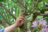 img0018.jpg