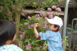 img0019.jpg