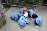 img0020.jpg