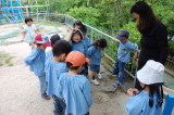 img0028.jpg