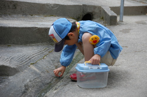 img0004.jpg