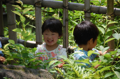 img0034.jpg
