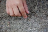 img0000.jpg