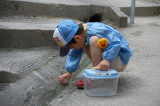 img0004.jpg
