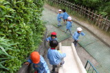 img0015.jpg