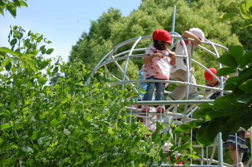 img0026.jpg