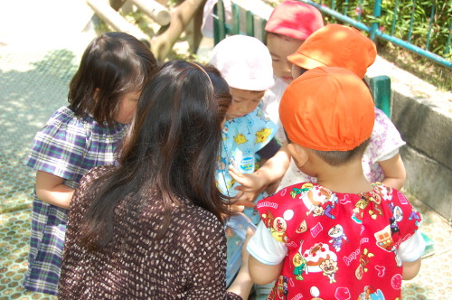 img0032.jpg