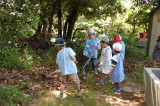 img0010.jpg