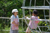 img0012.jpg