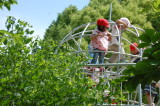 img0026.jpg