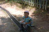 img0031.jpg