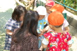 img0032.jpg