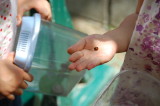 img0033.jpg