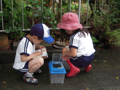 img0004.jpg