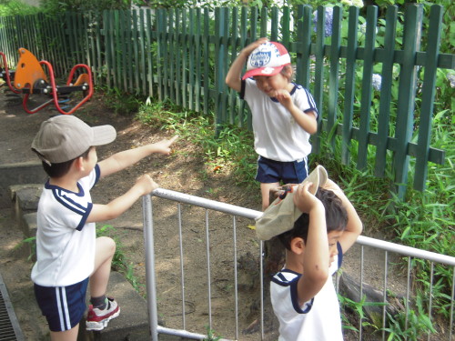 img0005.jpg