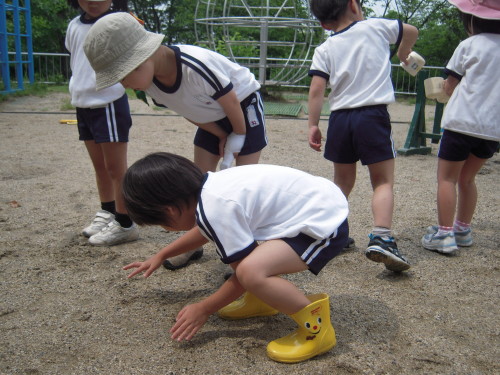 img0008.jpg