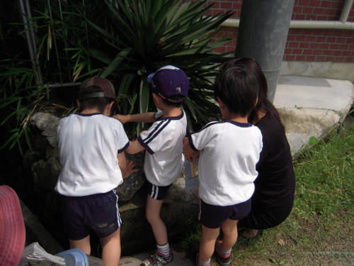 img0029.jpg
