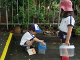 img0003.jpg