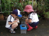 img0004.jpg