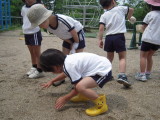 img0008.jpg