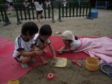 img0013.jpg