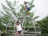 img0019.jpg