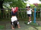 img0021.jpg