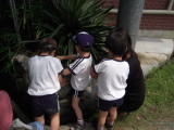img0029.jpg