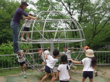 img0031.jpg