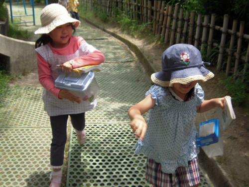 img0012.jpg