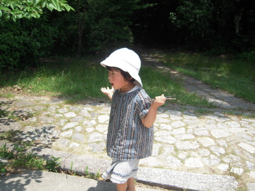 img0017.jpg