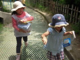 img0012.jpg
