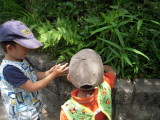 img0015.jpg