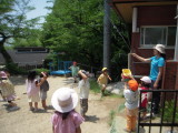 img0033.jpg