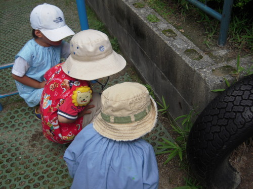 img0001.jpg