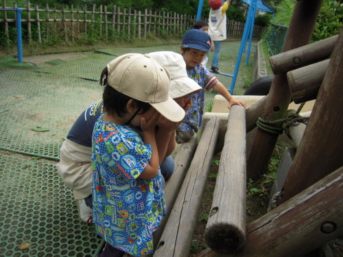 img0016.jpg