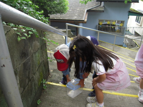img0021.jpg