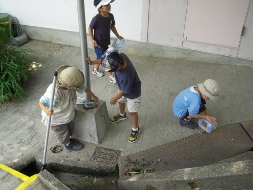 img0031.jpg
