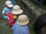 img0001.jpg
