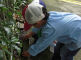 img0018.jpg