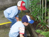 img0019.jpg