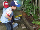 img0020.jpg