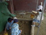 img0027.jpg