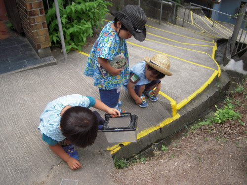 img0003.jpg