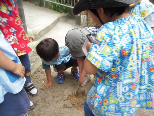 img0005.jpg