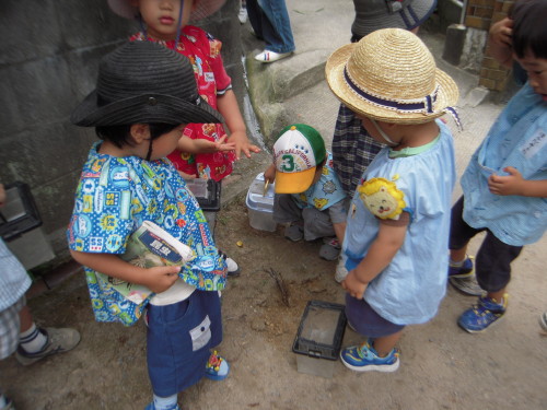 img0007.jpg