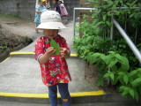 img0000.jpg